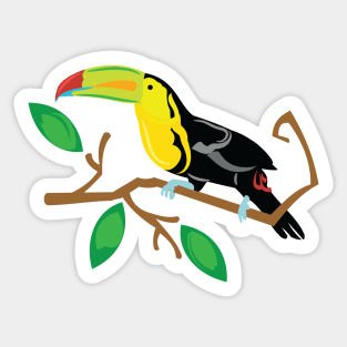 Colorful Toucan Sticker